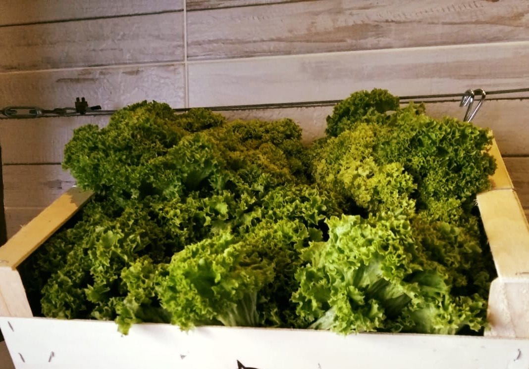 Café Central Las Palmas