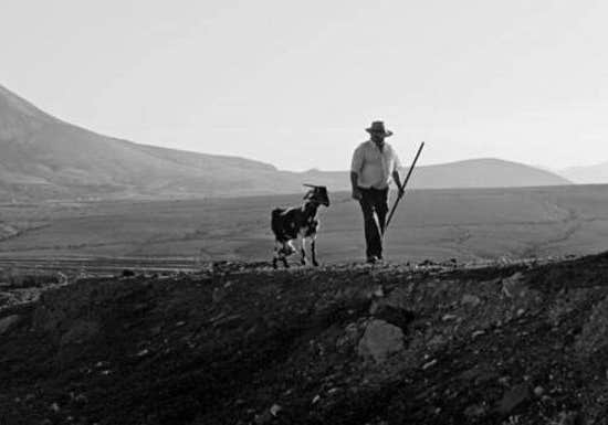 Grupo Ganaderos de Fuerteventura