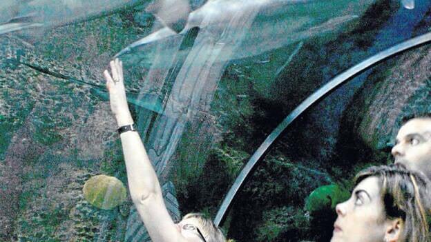 Zoológicos en el limbo legal