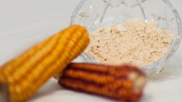 El gofio triunfa en la capital colombina