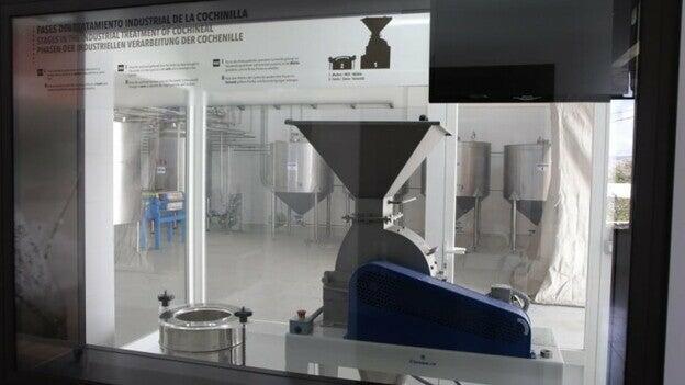 Larga vida para la cochinilla