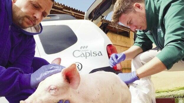 «Trabajamos para asegurar el futuro del sector»