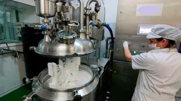 La finca de Aloe vera ecológico más grande de Europa