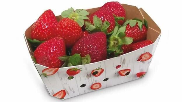 Calidad al servicio de lo que precisa el cliente