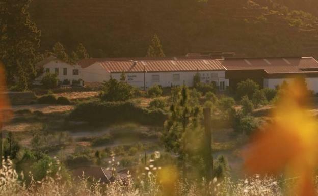 Aguas de Vilaflor, envasa y distribuye agua con un manantial único