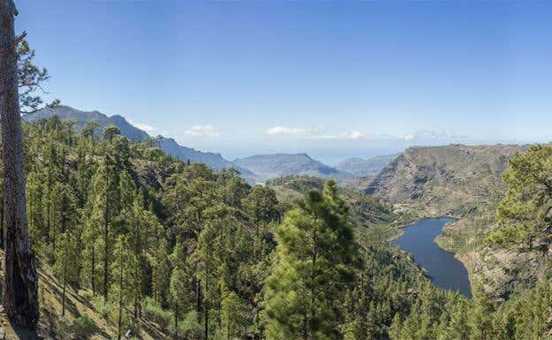 Los mejores miradores de Canarias para deleitarse desde arriba