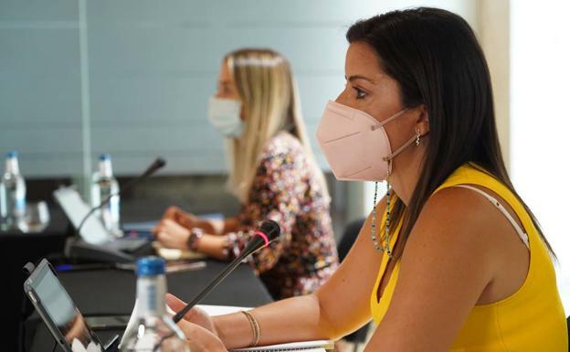 El Consejo Canario de Turismo creará una comisión para priorizar proyectos que optan a fondos europeos