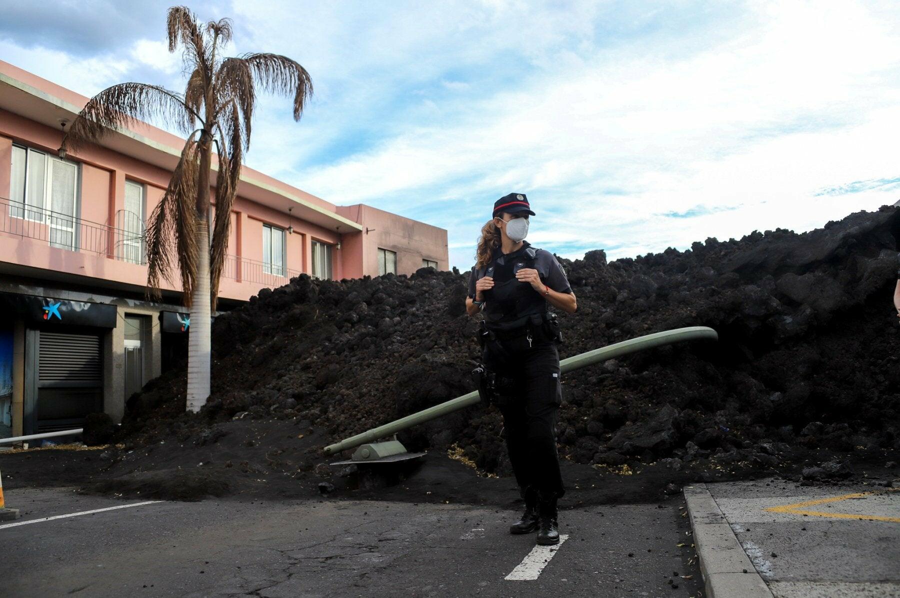 Revivir entre la ceniza