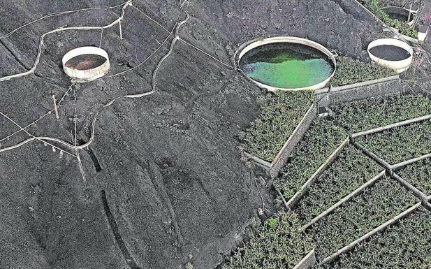 La Palma: la mejor forma de echar una mano