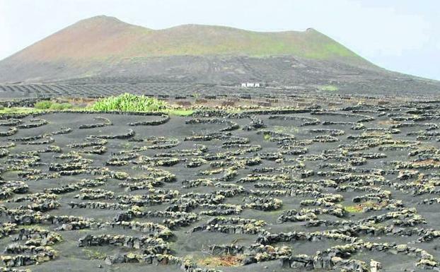 Lanzarote: volcanes, César y Saramago