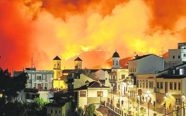 Fotoensayo. Siete plagas, siete fotos