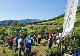 Fundación Foresta y el Colegio de Veterinarios de Las Palmas concluyen la Campaña de Reforestación 2022/2023