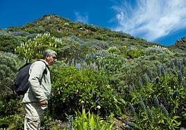 Los mejores planes para disfrutar la Semana Santa en Canarias