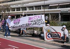 Las marcas JSP y Celgan se ponen a la venta por 35.000 y 30.000 euros