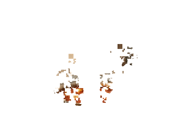 Ruta por los arroces que no debes dejar de probar en Gran Canaria