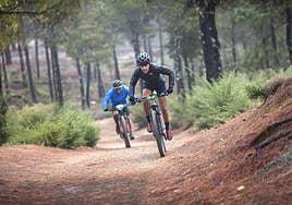 Los mejores ciclistas canarios estarán en la Fred. Olsen Express Transgrancanaria Bike