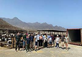 La granja más verde de La Aldea almacena hidrógeno