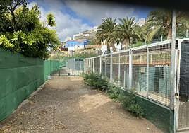 Telde busca urgente un albergue de animales: ya no tiene dónde meterlos
