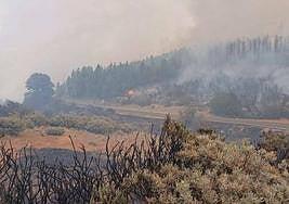 Batalla intensa contra el fuego en la cumbre grancanaria