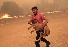 Una nueva oleada de incendios mata a una treintena de personas en Grecia
