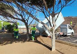 El plan de choque de Limpieza y Jardines retira 25 toneladas de poda y basura