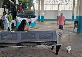 Flores blancas en la estación de guaguas