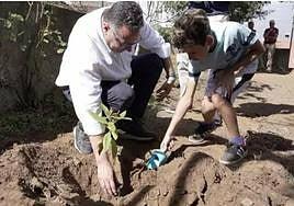Casi un millar de colegios e institutos plantan árboles por el incendio de Tenerife