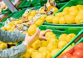 Mercadona comercializará 220.000 toneladas de cítricos canarios y de otras cuatro autonomías