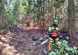 El incendio forestal de Tenerife, estable