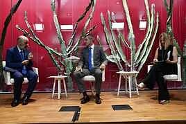 Manuel Domínguez en CANARIAS7: NULLCompetir para avanzarNULL