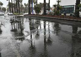 Cayeron de 40 a 50 litros en 12 horas en las medianías del norte de Gran Canaria