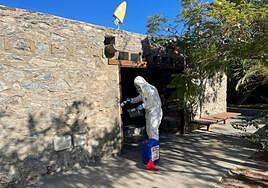 Tratamiento contra las termitas en la histórica Casa de Saturninita de Maspalomas