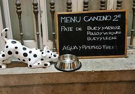 ¿Comer con el perro? Ruta para hacerlo en diferentes locales de Las Palmas de Gran Canaria