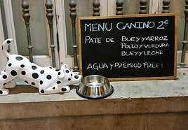 ¿Comer con el perro? Ruta para hacerlo en diferentes locales de Las Palmas de Gran Canaria