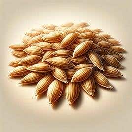 Avena: grano versátil y nutritivo que conquista paladares