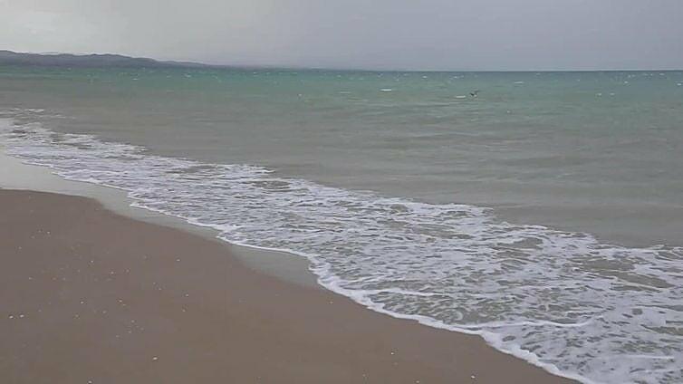 Arrozales del Delta del Ebro