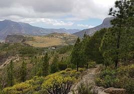 Salvar Chira-Soria denuncia la destrucción de un camino real en la Cumbre