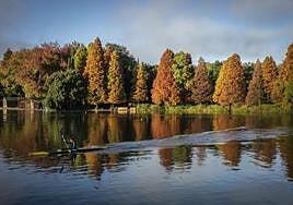 El cambio climático ha cambiado el color de la naturaleza