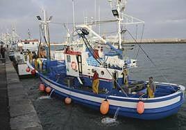Los pescadores canarios denuncian un «trato discriminatorio» en la campaña del atún rojo