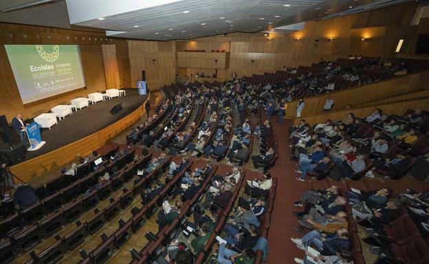 Leen Gorissen: «La inteligencia natural es la que va a salvar nuestro futuro»