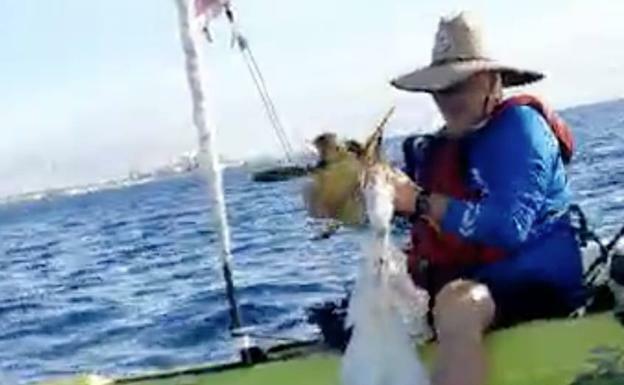 Las tortugas se enredan en los globos sonda de la Aemet