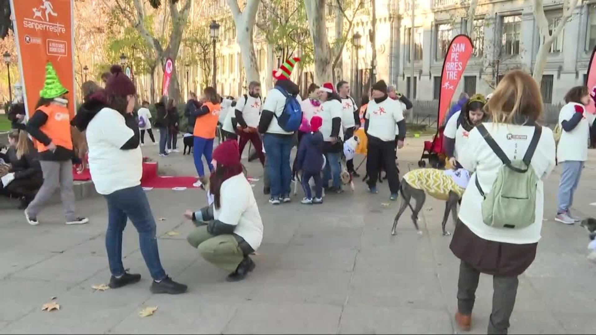 El Refugio celebra su San Perrestre para luchar contra el maltrato y abandono animal