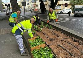 Guía embellece sus espacios públicos con más de 2.000 geranios