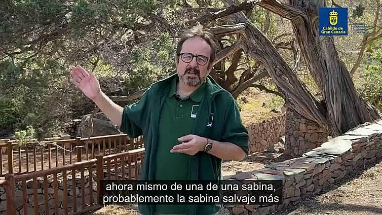 Visita a la sabina de Tirma