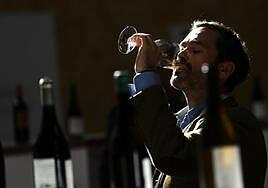 El futuro del vino español en cinco tendencias vistas en la Barcelona Wine Week