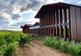 Bodegas Fos: un viaje entre tradición e innovación