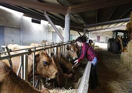 Así explica la historia la brecha de género en el campo español