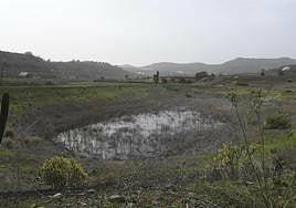 Darias dice que hay interés por las charcas de San Lorenzo, pero «tienen que ponerse a tiro»