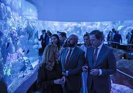 Loro Parque presenta Coral Kingdom, una experiencia inmersiva en el mayor arrecife de coral fuera del océano