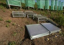 El agua de niebla, un inesperado aliado contra la sequía catalana desarrollado en Canarias